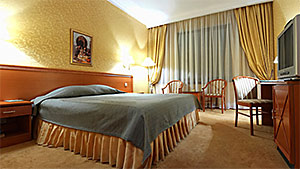 Гостиница Suleiman Palace (Казань) - Стандартный номер «Бизнес» с двуспальной кроватью